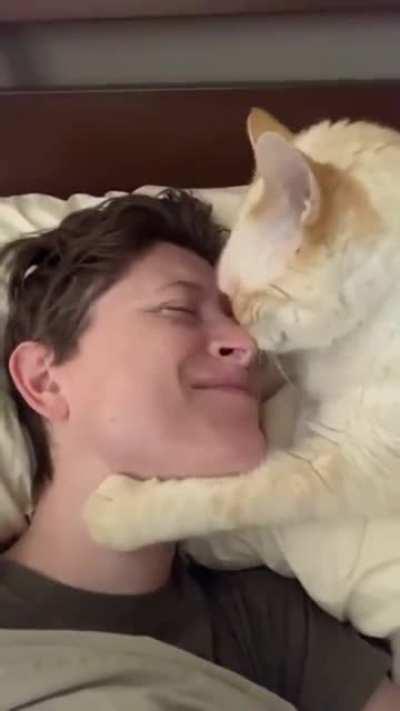 A very affectionate cat