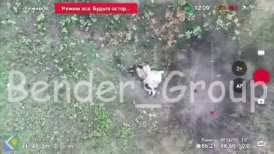 A Ukrainian soldier pretending to be dead under a blanket is neutralized by a Russian drone. 