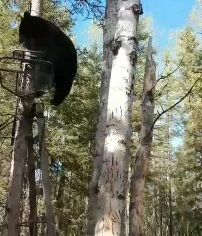The tables have turned...