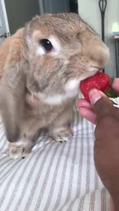 Just enjoying some strawberries