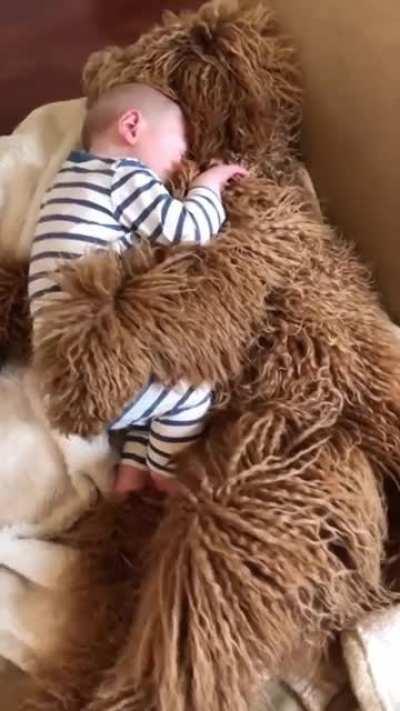 Baby and dog snuggling