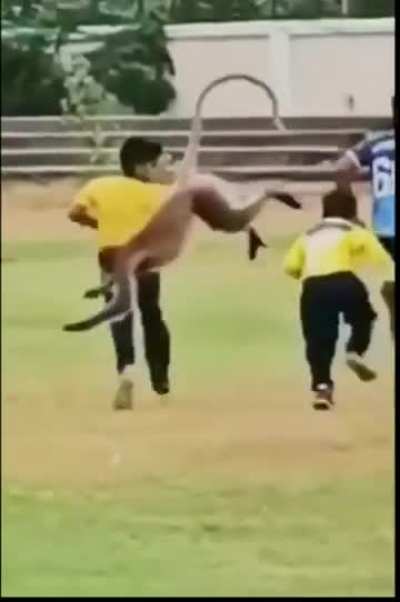 Unlikely Teammate: Monkey Joins Kids for a Game of Football, Shows Off Skills