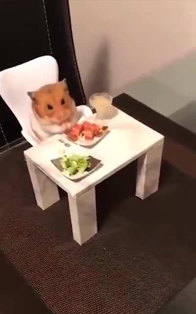 This hamster's table manners.