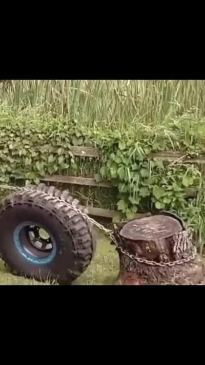 What is this tire used for?