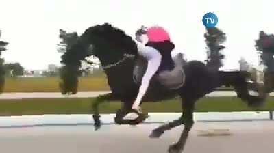 This 9 years old girl from Azerbaijan goes to school on her horse.