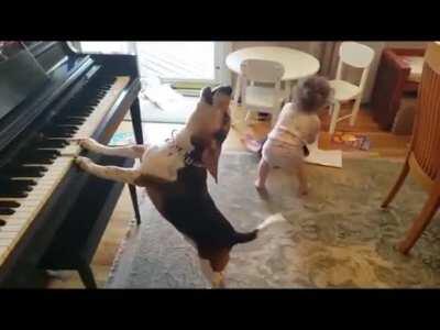 To play music and have a dance party