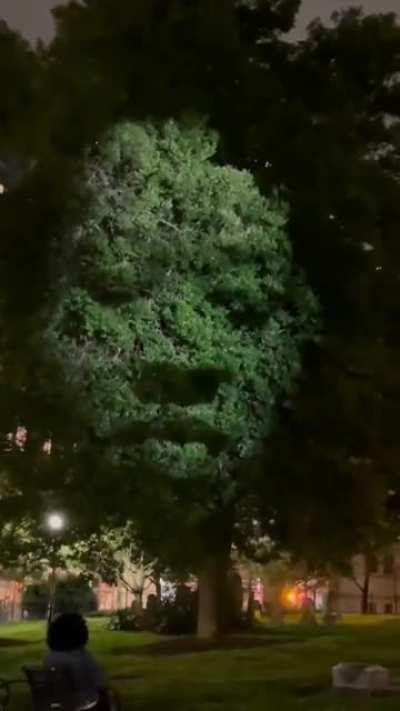 To pay tribute to all the enslaved people buried in cemeteries with no name, artist Craig Walsh put a face in the trees to honor their souls in an installation in Charlotte, North Carolina, called &quot;Monuments&quot;