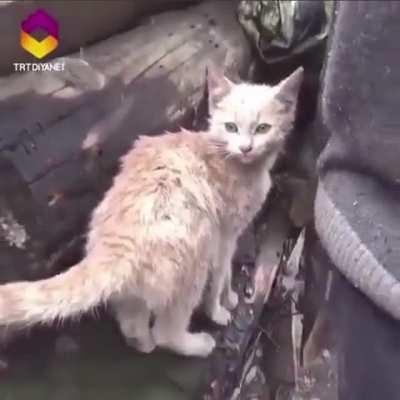 This man lost everything in a fire but he cries with joy when he finds that his kitten survived