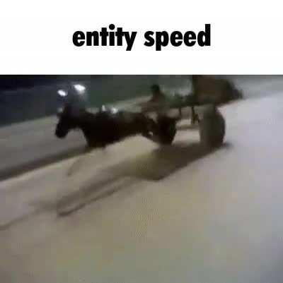 I miss entity speed