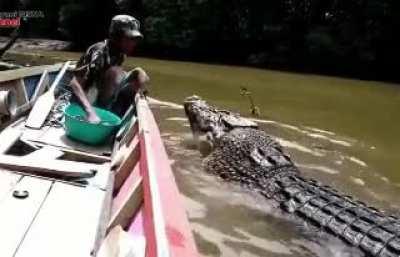 Hiring emotional support gator trainer $10k/month no degree needed