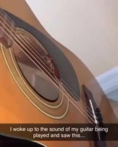 brøthər playing the guitar