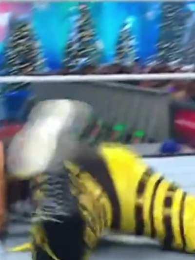 Bayley (WWE SmackDown: 12/22/2023)