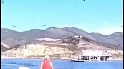 Humpback whale swallows two kayakers then spits them out.