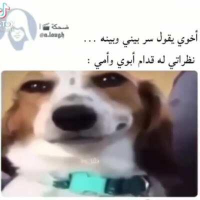 اتحداك ما تضحك