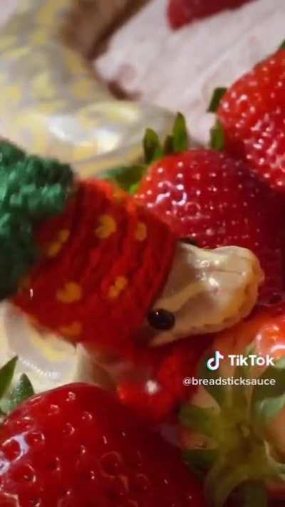 via tiktok user @breadsticksauce â¤ï¸ð