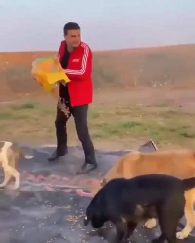 Evil man laughs as he steals kennel and food from poor starving dogs