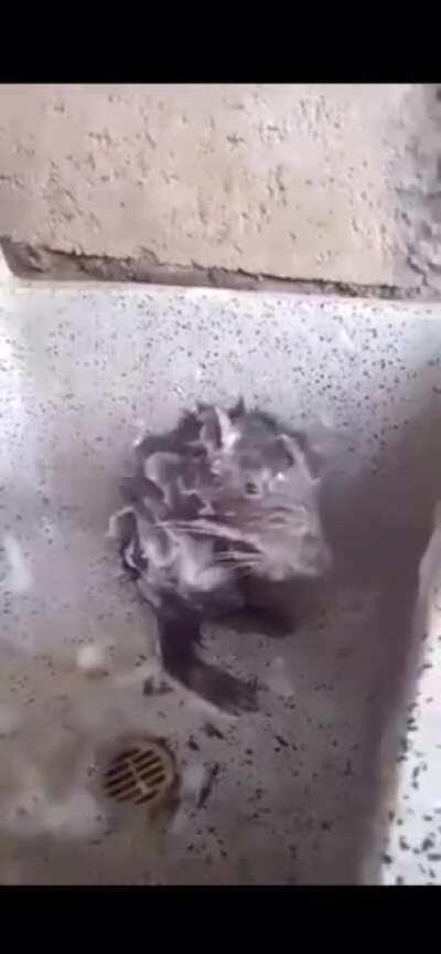 Cursed_bath