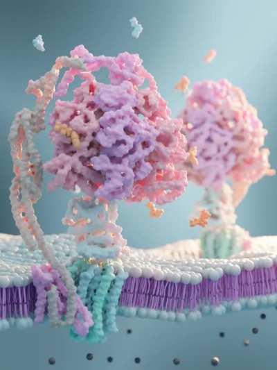 ATP-synthase animation