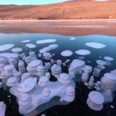 Methane Bubbles on frozen lake