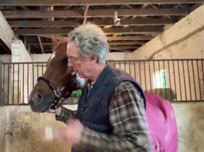 Giving my horse her de-worming medicine. She does not even want to open her mouth.