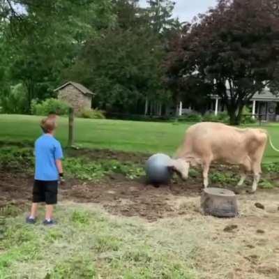 Passing the ball around