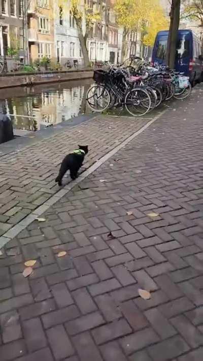 A Policeman on duty in Amsterdam