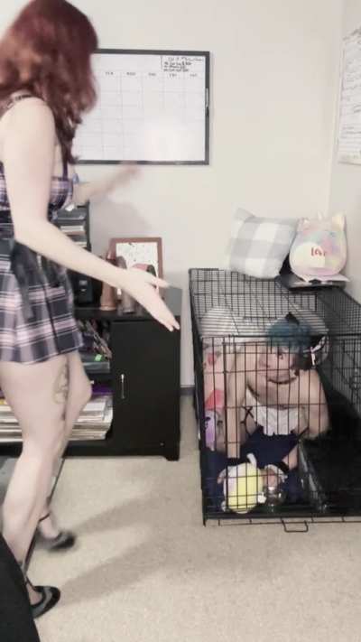 My adorable pussy-free virgin cucky get a &quot;treat&quot; after waiting patiently and pathetically in his dog cage while in chastity for me to return from my date with my bull. 🤭😜 [domme] [oc]