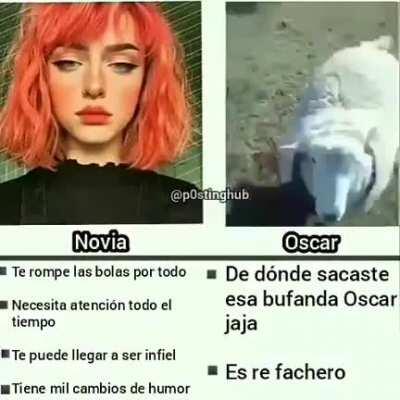 Oscar que lindo te has puesto