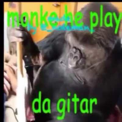 Monke play guitar