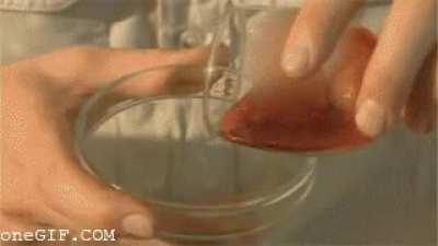 What snake venom does to blood.