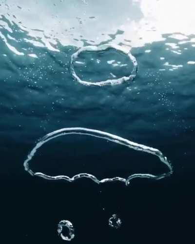 Underwater bubble rings connecting and breaking apart.