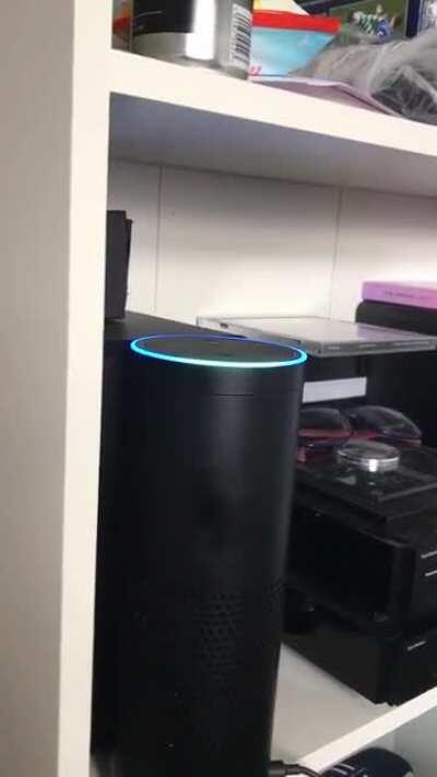 Never ask Alexa to play 505