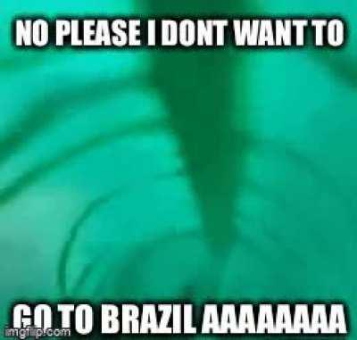 omg beethovemng ples comd to brazil