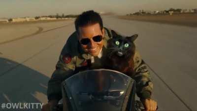 Top gun but owlkitty's the mc