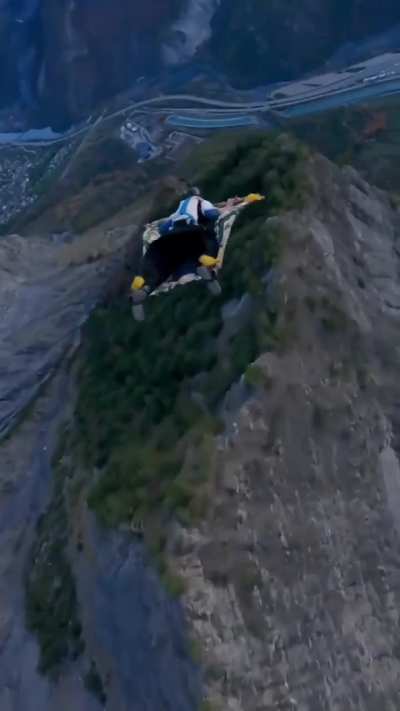 Bro used a carpet instead of a wingsuit to BASE jump