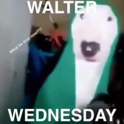 OMG ITS WALTER WENSDAY BOIS