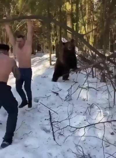 Russian men working out with a bear 