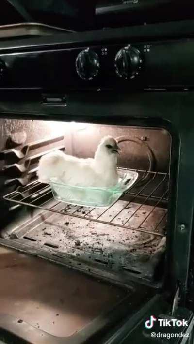 Baked Chicken