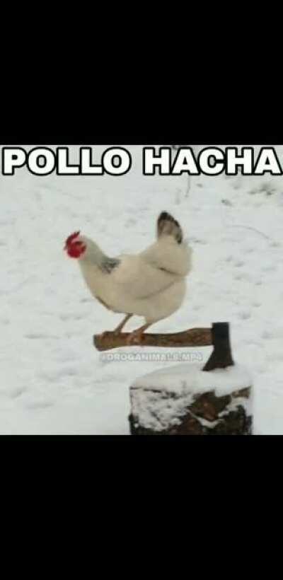 Pollo hacha