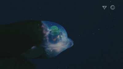 Thousands of feet beneath the surface of Monterey Bay off California, scientists captured footage of a fish with a bulbous, translucent head and green orb-like eyes that peer out through its forehead...