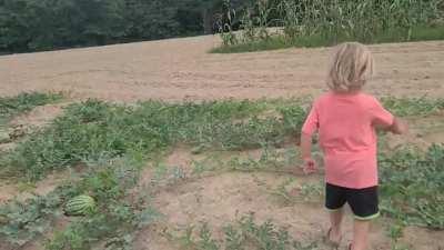 My son conversing with the watermelons.