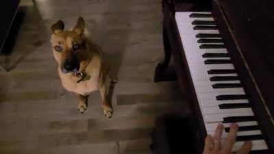 Dudley is critical of my piano skills