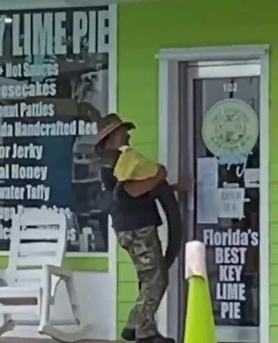 Florida man casually bringing his pet, shirt-wearing alligator back into his shop