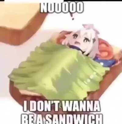 Smash sandwich