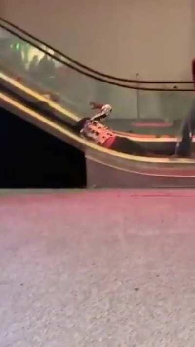 HMF while I go the wrong way down this escalator