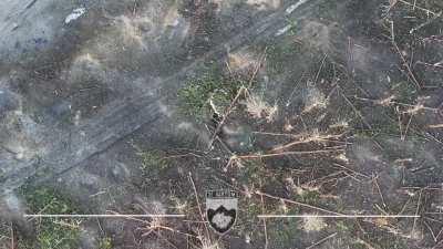 Ukraine's 108th Separate Mountain Assault Battalion (10th Brig.) posted video of drone munition drops targeting Russian infantry in unnamed direction. Original audio. March 1, 2024 post