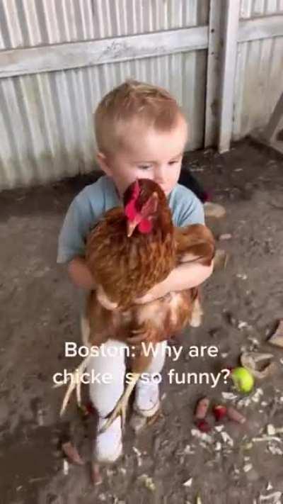 Why are chickens are so funny? 🐔