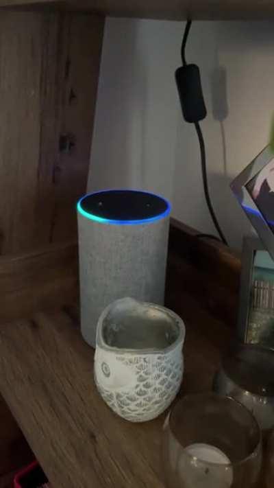 Posh wife does some Alexa banter