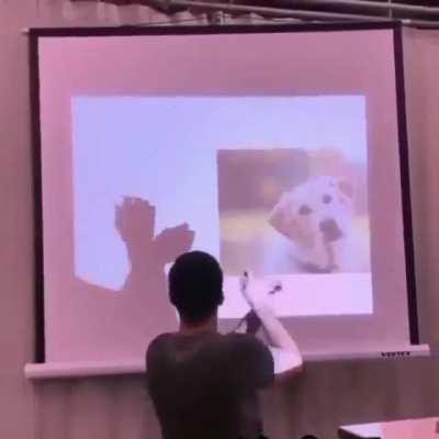 This impressive shadow puppetry