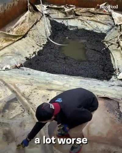 This couple overhauled their neglected in-ground pool and made it swimmable again.